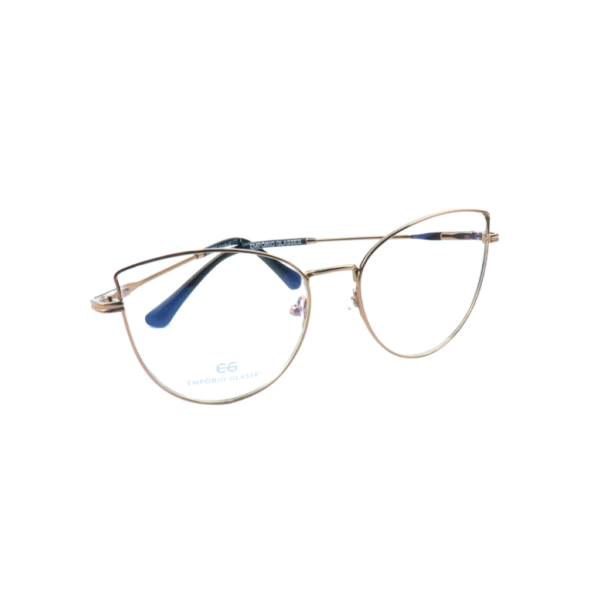EG4097 C4 -2