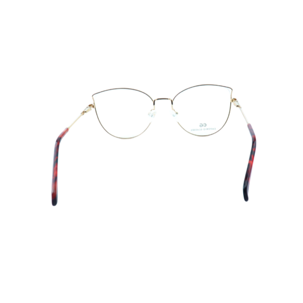 EG4132 C5-1