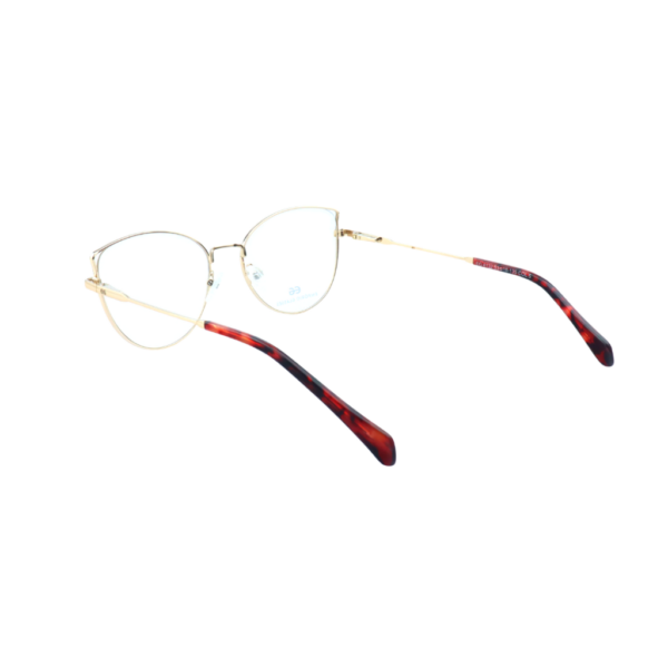 EG4132 C5-2