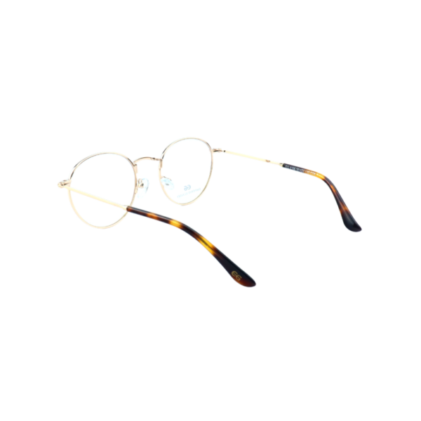 EG4166 C1-5