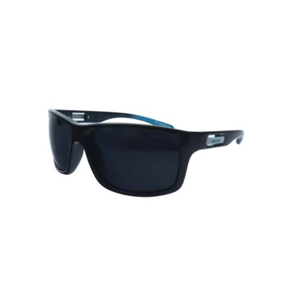 Óculos de Sol Speedo SP Hockey2 A03